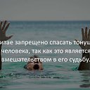 ���� ����, ���������, 48 ��� - ��������� 20 ������� 2017 � ������ ���� ����������