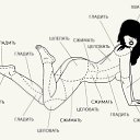 ���� �����, ������ - ��������� 13 ���� 2017 � ������ ������ ��������