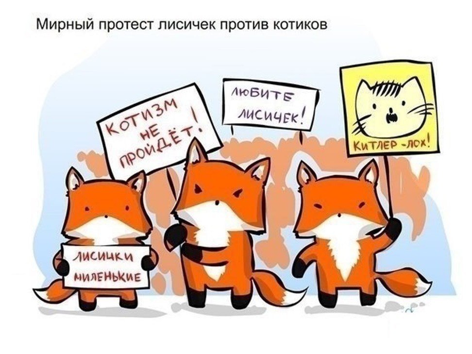 Лис все что хочешь. Лис все что хочешь
