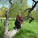  -   !,  -  31  2017   - 2017