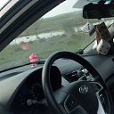  , , 36  -  3  2017    ( 2017)