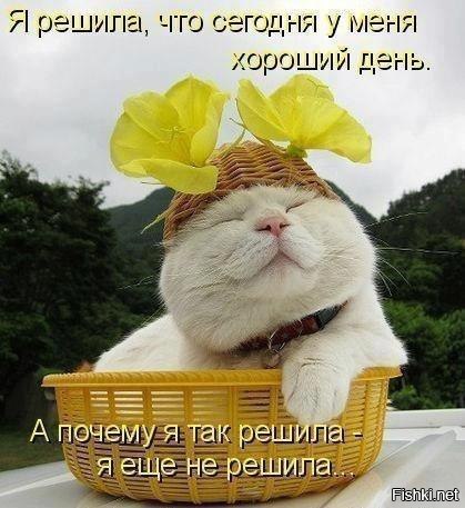����� - 5 ��� 2017 � 19:53