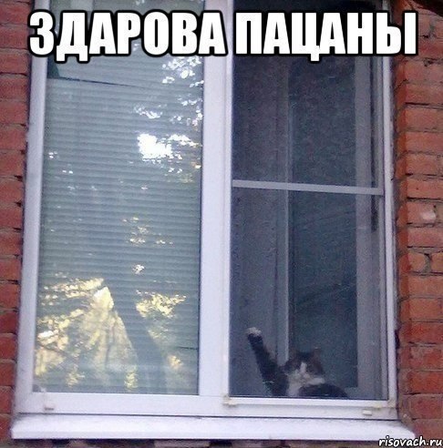 Art & Fun - 16  2017  14:34