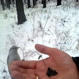 ���� ����, �����, 60 ��� - ��������� 16 ���� 2017