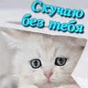 ���� ���������, �������, 36 ��� - ��������� 17 ������� 2017 � ������ ���� ����������
