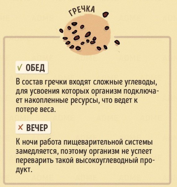 В какое время дня лучше есть те или иные продукты. Не потеряй - 5