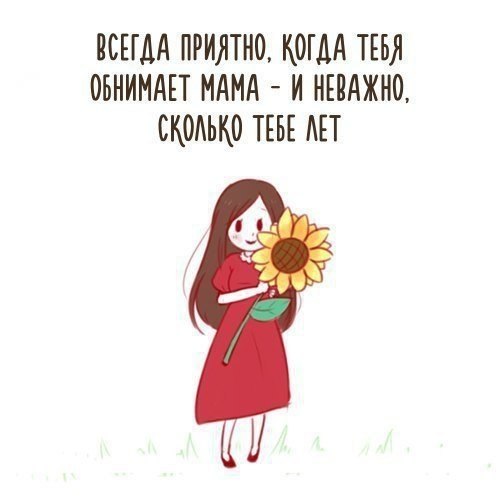    - 6  2017  10:19
