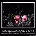 ���� Lana, ����� - ��������� 15 ���� 2017 � ������ ������ ��������