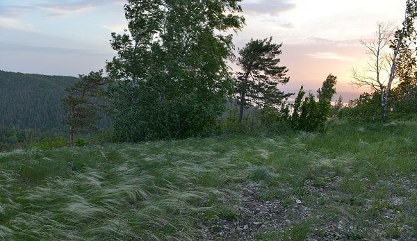 ))).САМАРСКАЯ ЛУКАСамарская Лука - самая большая, значительно выраженная и известная излучина реки ...