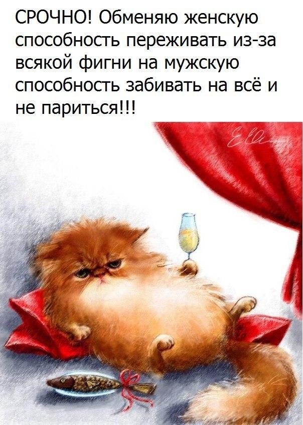   - 28  2017  12:18