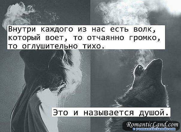  - 17  2017  12:51