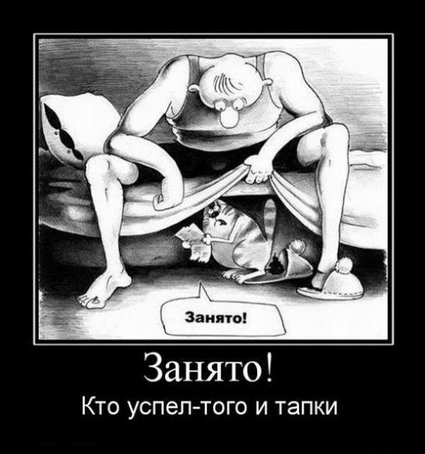     - 5  2017  13:33