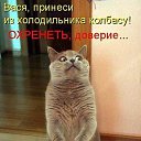  @ N  ,  -  2  2017    ...