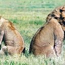 ���� Bes Predel, ��������, 40 ��� - ��������� 26 ������� 2017 � ������ �..?�