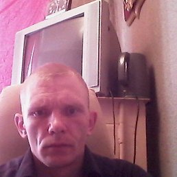 �����, �����������, 40 ���