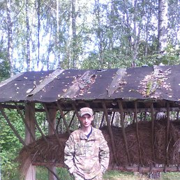 ���� �����, ��������, 49 ��� - ��������� 3 �������� 2017