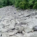 ���� �������, �����������, 42 ���� - ��������� 15 ���� 2017 � ������ ����������� �� ���������