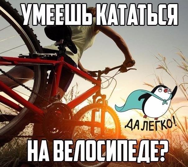    :D - 25  2017  01:31