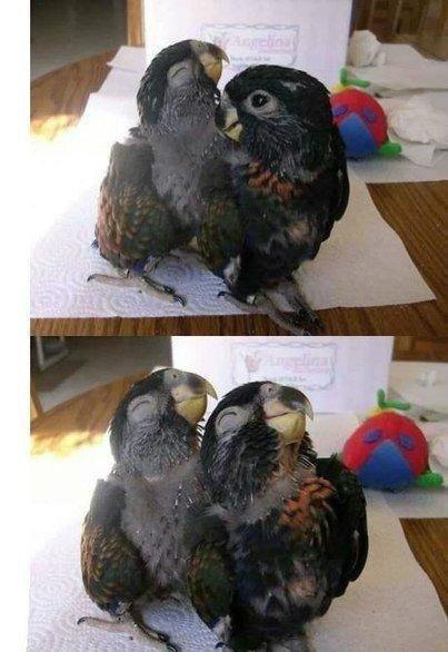 -!.