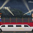 ���� ˸��, ���������, 25 ��� - ��������� 30 ���� 2017 � ������ �Tropikania�