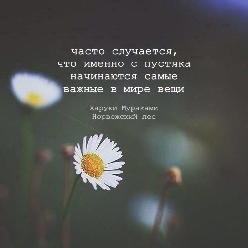   -  ,  -  - 29  2017  18:42
