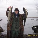  , -, 59  -  15  2017    