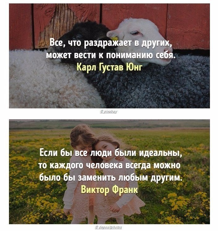 Весь опыт психологов мира в 20 цитатах. Прочтите и вдумайтесь в эти слова. - 3