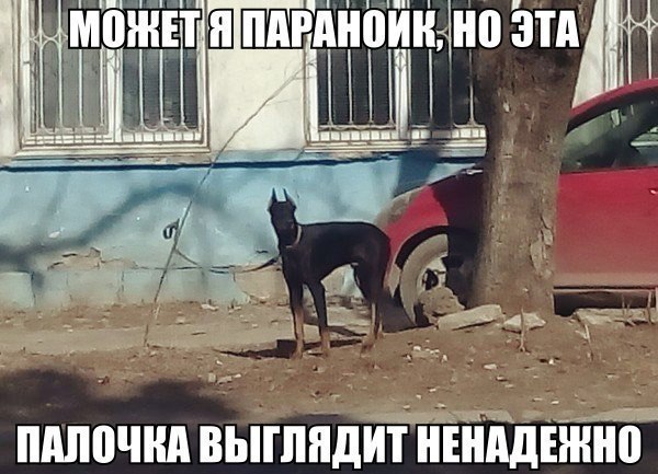    :D - 17  2017  03:47