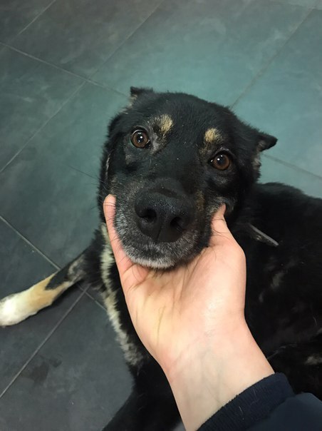 -  .   !   ,   ,   ,  ...