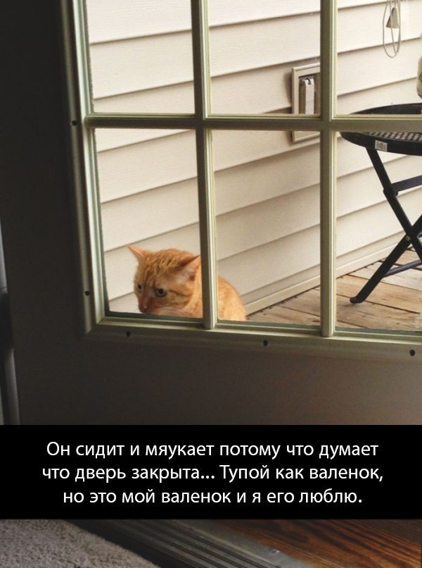   - 6