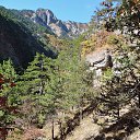  , , 60  -  16  2017        ,,14.10.17.