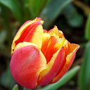 ��� 2017 �� ������� ���� ����������� (!) ��������)�