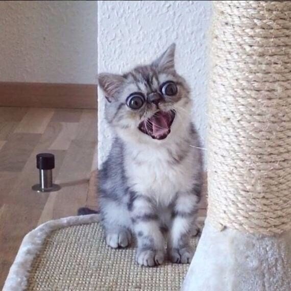 -        ,    . - 3