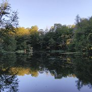 �������, 53 ����, ����