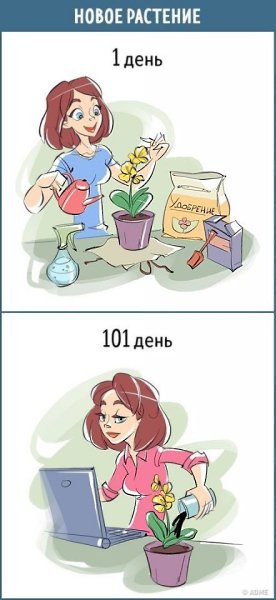 10 комиксов о том, как меняется наше отношение к любым вещам за каких-то 100 дней. - 9