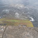  , , 60  -  6  2017   , ,06.09.17. ,...