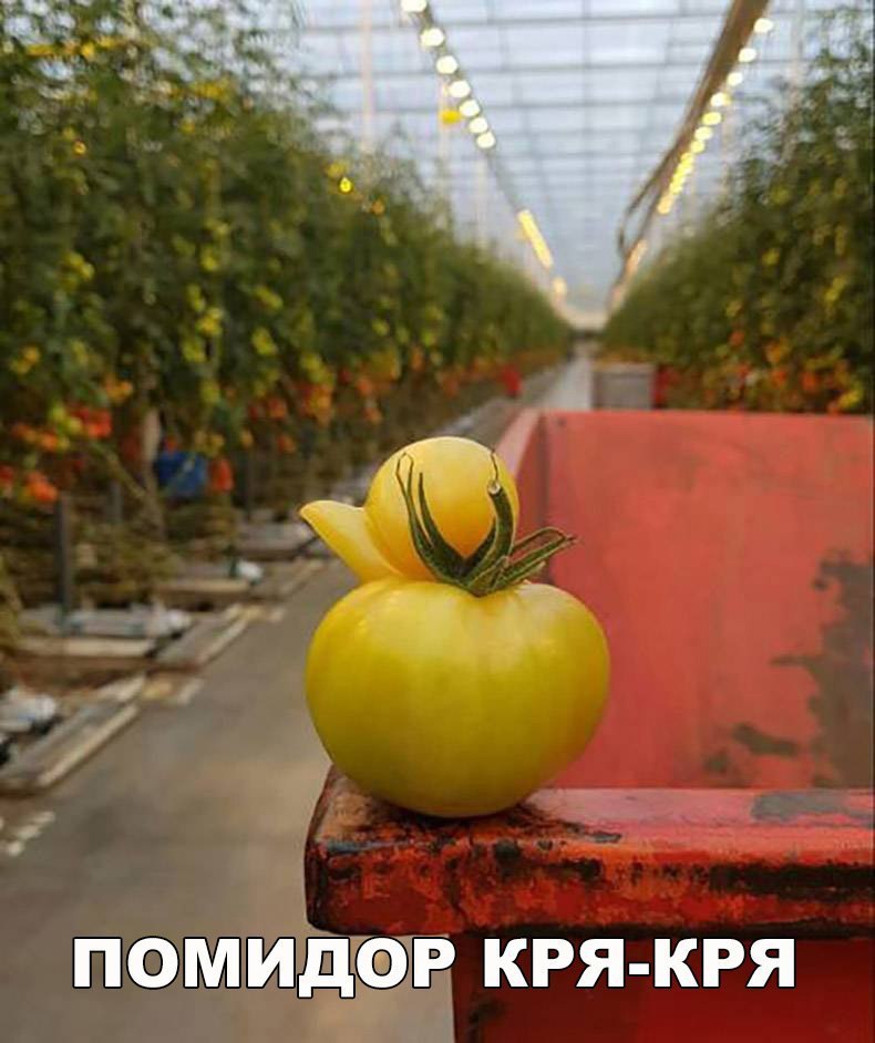    :D - 30  2017  19:17