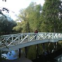 ���� ���������, ������ �������� - ��������� 26 �������� 2017 � ������ ���� ����������