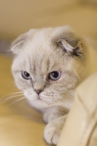       - 6  2017  16:58 - 4