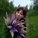 ���� �������� ��������, ������, 56 ��� - ��������� 1 ���� 2017 � ������ ���� ����������