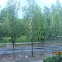 ���� 2017 �� ������� �2017�