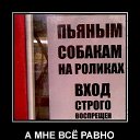 ���� �������, ������ - ��������� 12 ������ 2017 � ������ ������ ��������