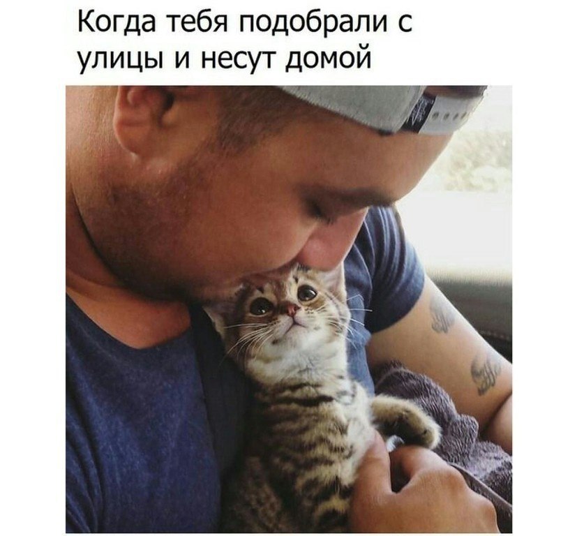 -        ???