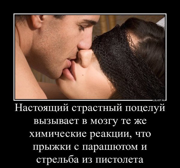 ����� � ������� - 13 ������ 2017 � 17:31
