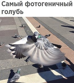      - 15  2017  07:20