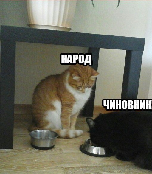     :