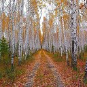 ���� ������, �������� - ��������� 27 ���� 2017 � ������ ���� ����������