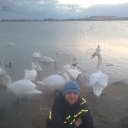 ���� ������, ���������, 38 ��� - ��������� 1 ��� 2017