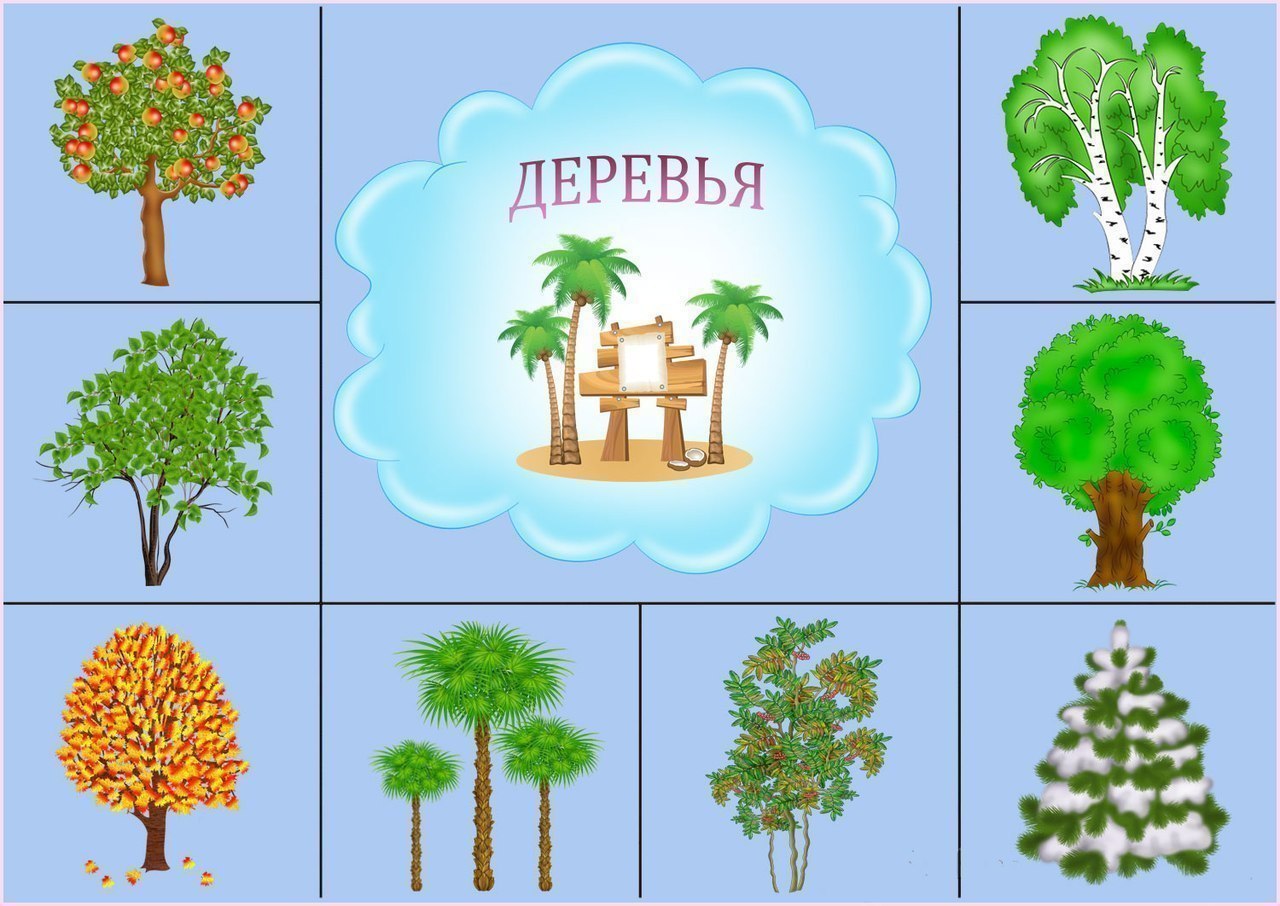 Игра назови картинку