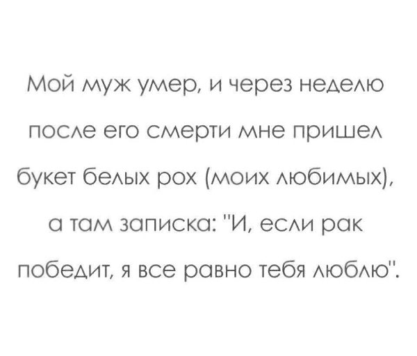   - 6  2017  13:48